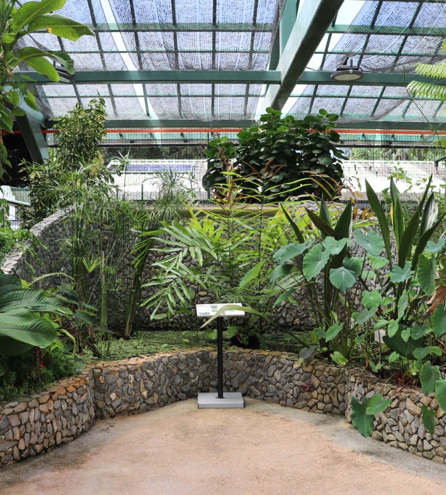 Front view of inside of the greenhouse, showing the small pond