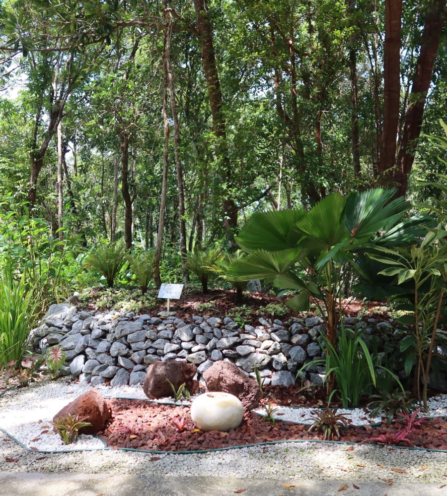 Another section within the Rock Garden