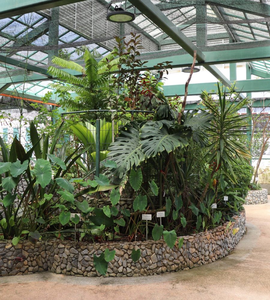 Front view of inside of the greenhouse